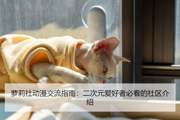 萝莉社动漫交流指南：二次元爱好者必看的社区介绍